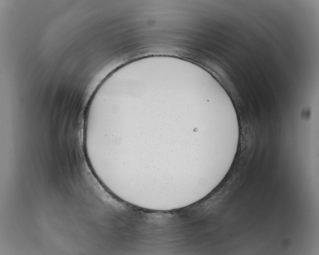 X0000111630804200908141341