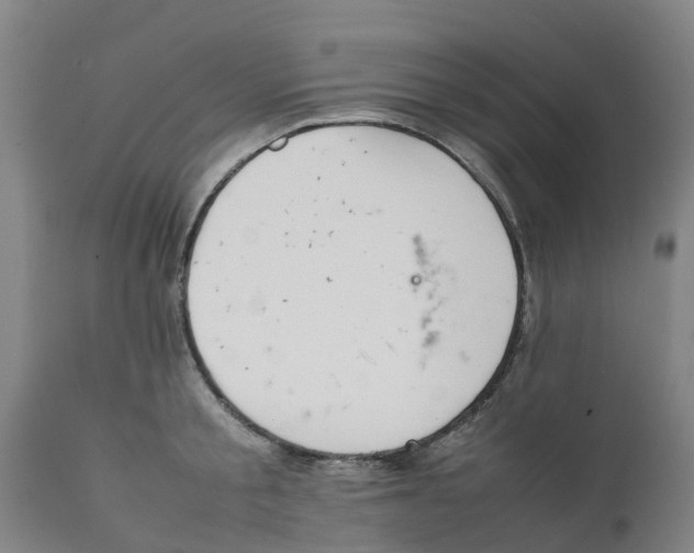 X0000111630805200908141341