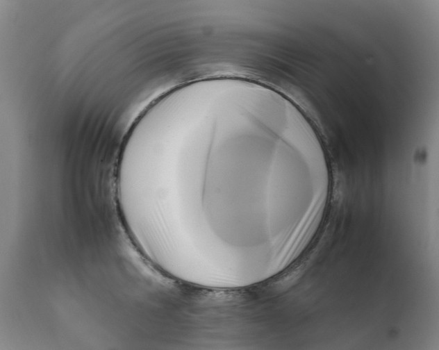 X0000111630806200908141341