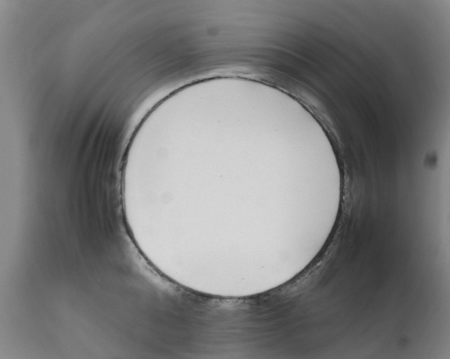 X0000111630808200908141341