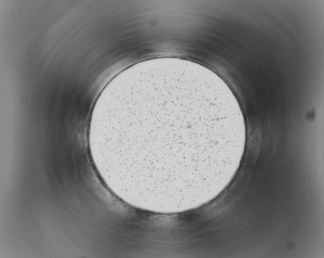 X0000111630810200908141341