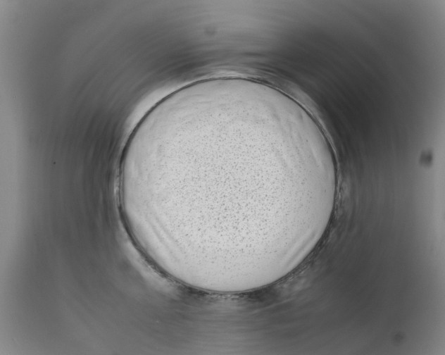 X0000111630811200908141341