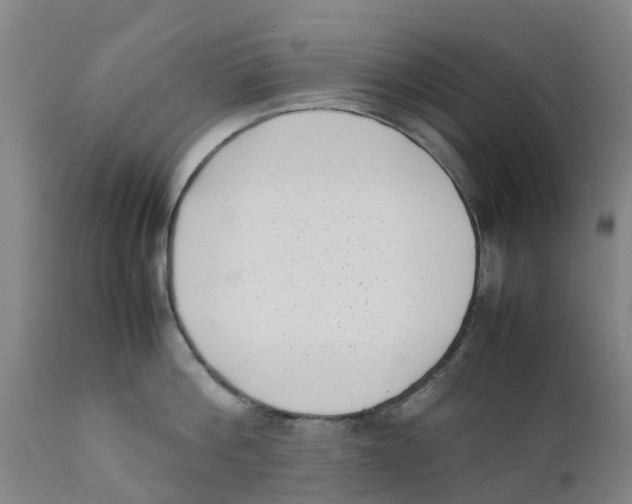 X0000111630812200908141341
