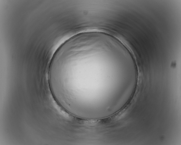 X0000111630813200908141341