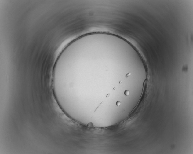 X0000111630815200908141341