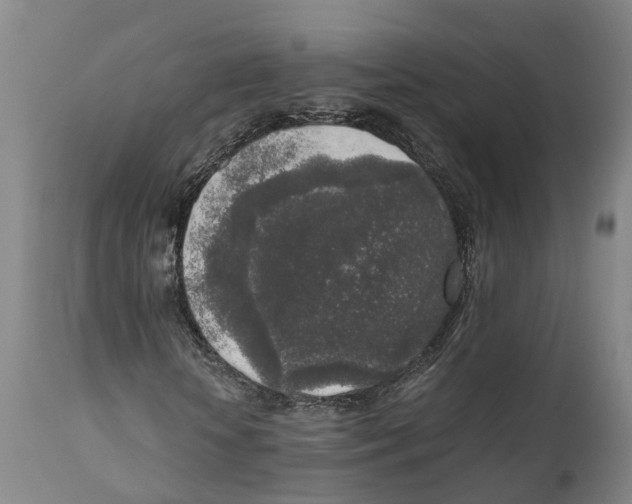X0000111630818200908141340