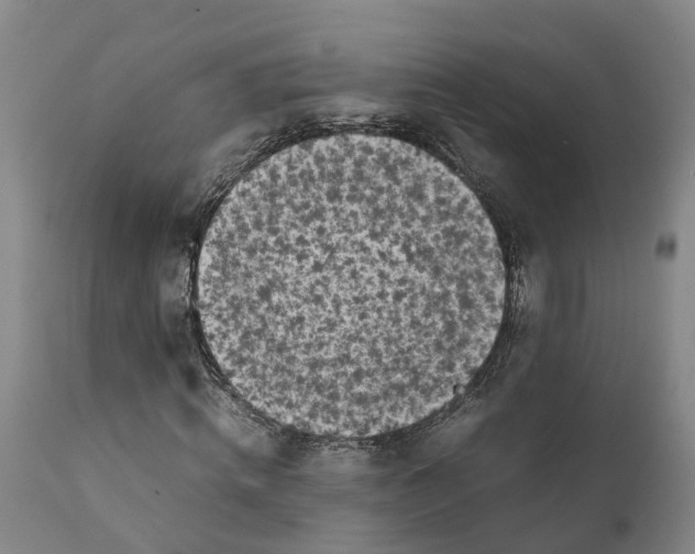 X0000111630820200908141341