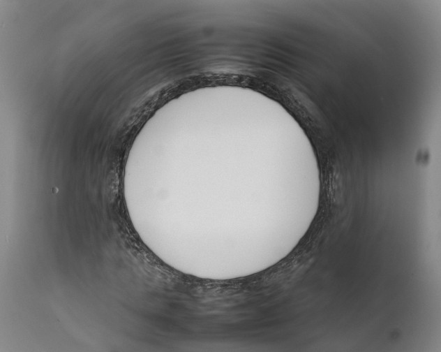 X0000111630821200908141341