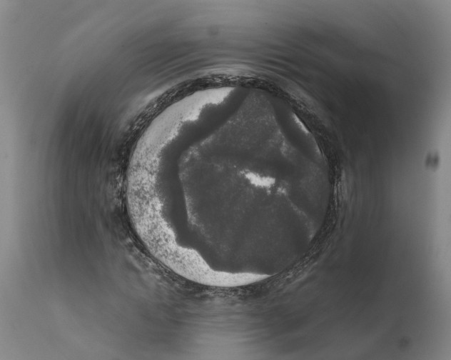 X0000111630822200908141341