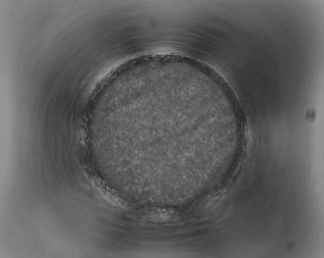 X0000111630823200908141341