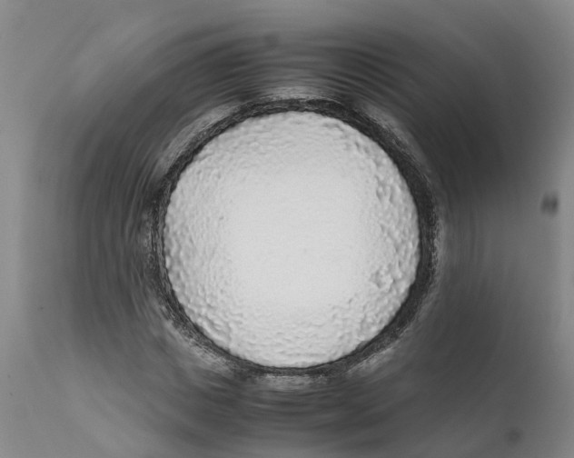 X0000111630825200908141341
