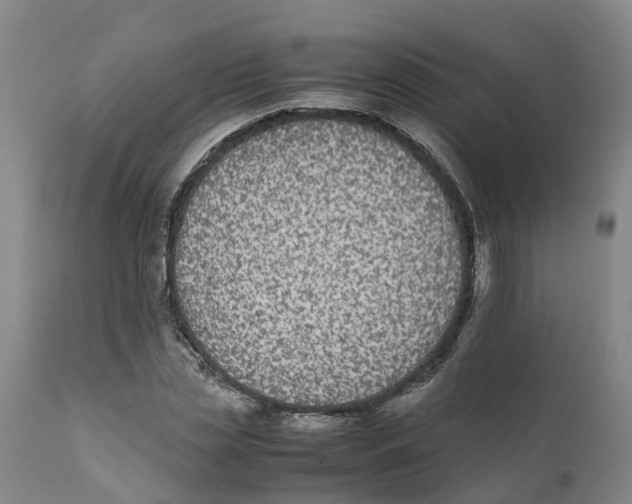 X0000111630829200908141341