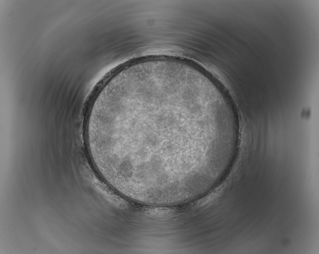 X0000111630830200908141341