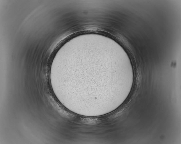 X0000111630831200908141341
