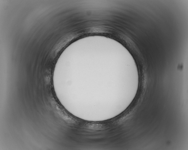 X0000111630833200908141341