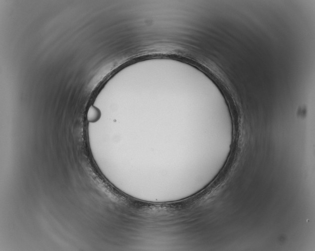X0000111630834200908141341