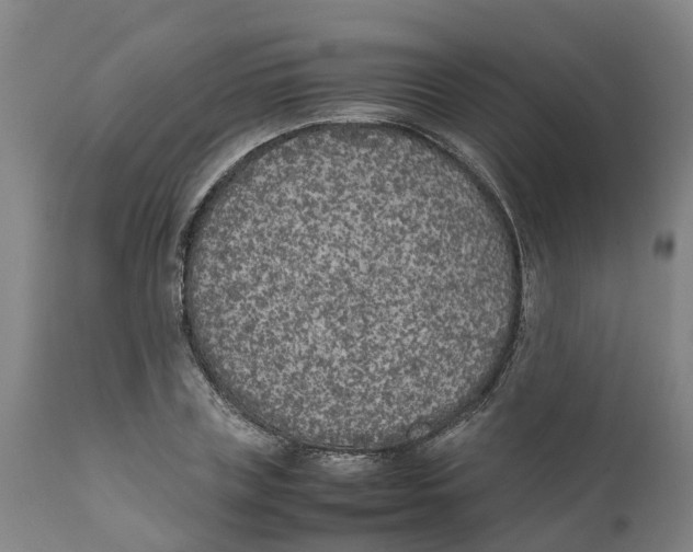 X0000111630835200908141341