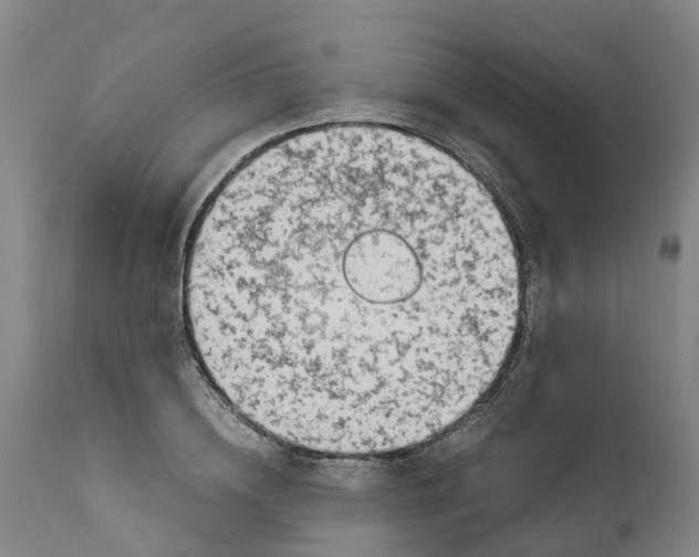 X0000111630836200908141341