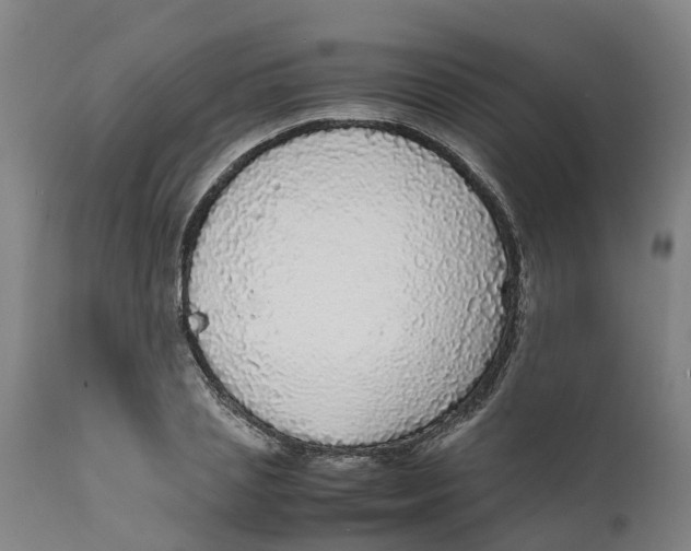 X0000111630837200908141341
