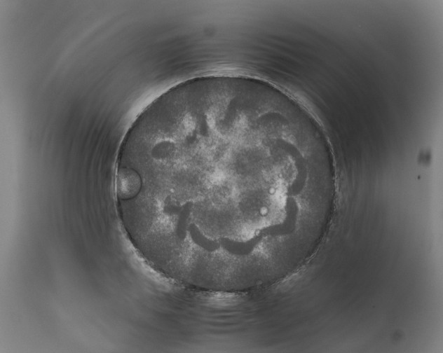 X0000111630839200908141341