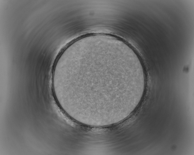 X0000111630840200908141341