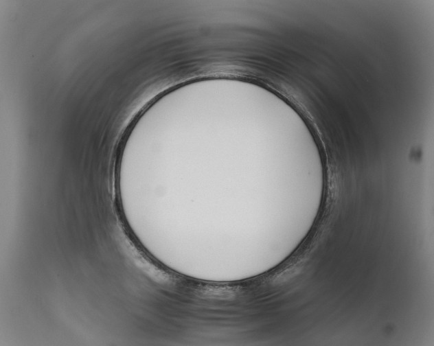X0000111630843200908141341