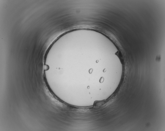 X0000111630844200908141341