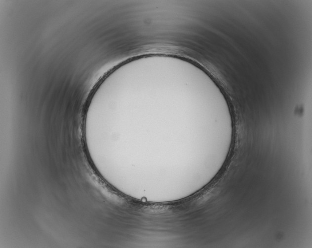 X0000111630846200908141341