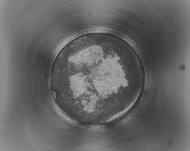 X0000111630850200908141341