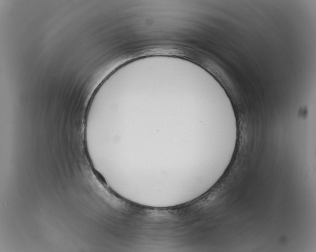 X0000111630852200908141341