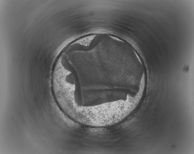 X0000111630853200908141341