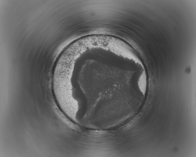 X0000111630854200908141341