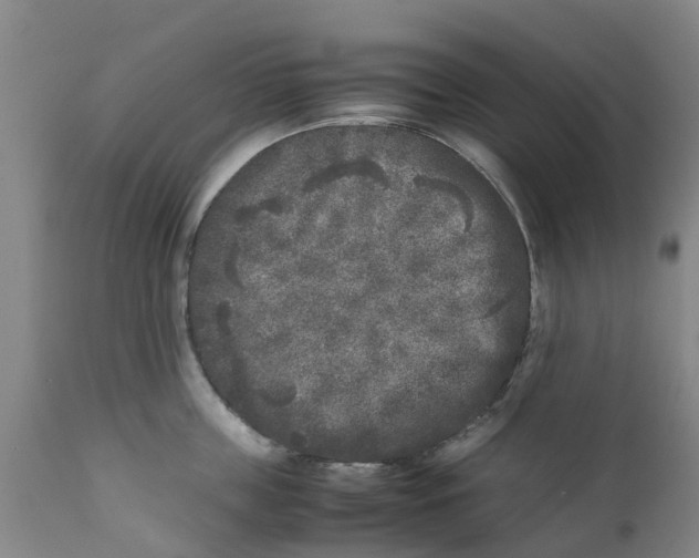 X0000111630859200908141341