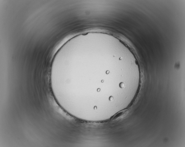 X0000111630860200908141341