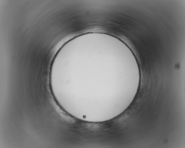 X0000111630861200908141341