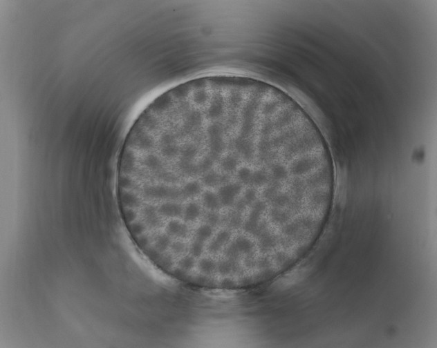 X0000111630862200908141341