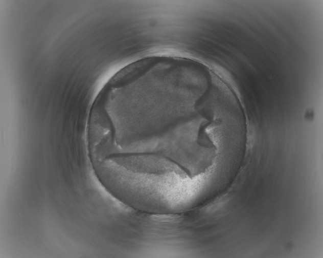 X0000111630863200908141341