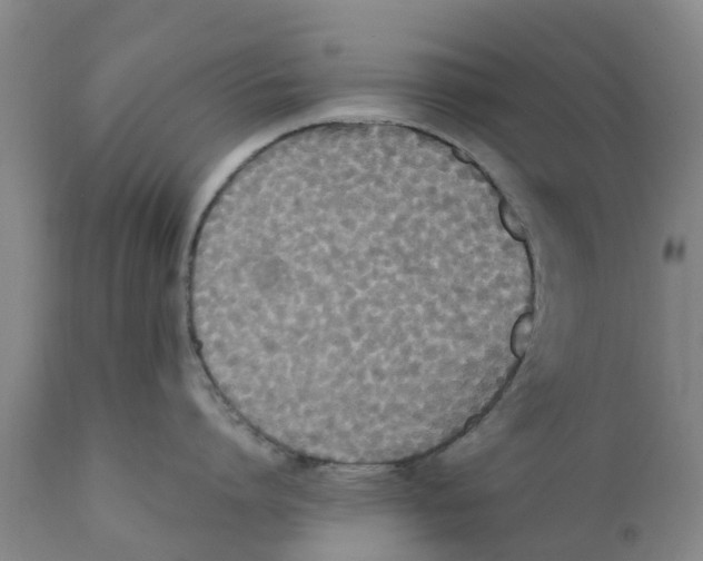 X0000111630864200908141341