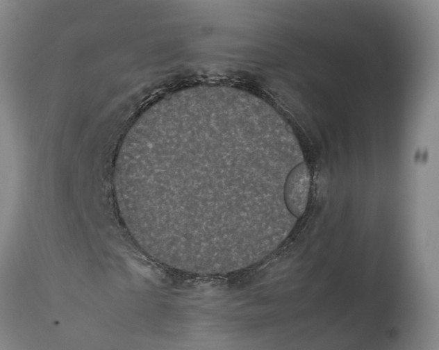X0000111630865200908141340