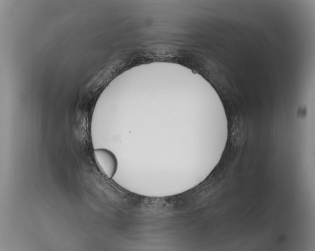 X0000111630866200908141340