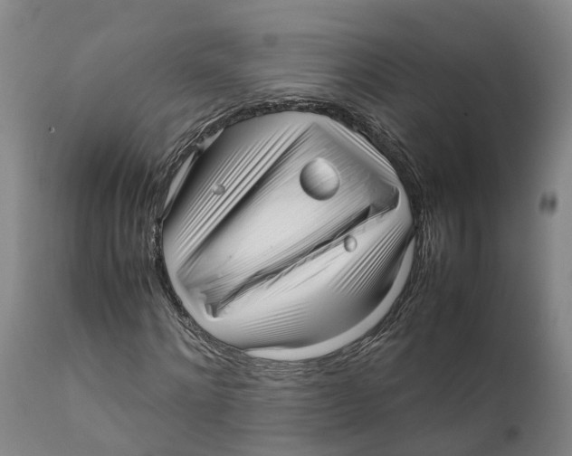 X0000111630868200908141340