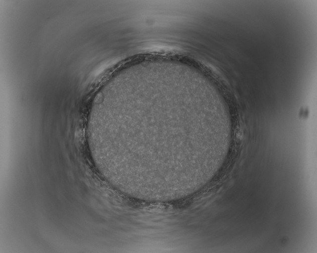 X0000111630869200908141340