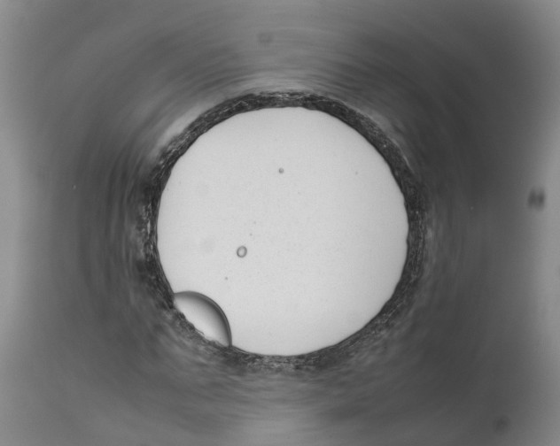 X0000111630871200908141340