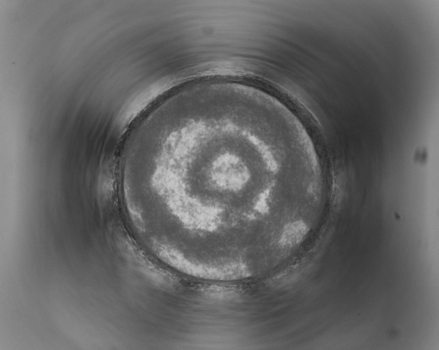 X0000111630874200908141340