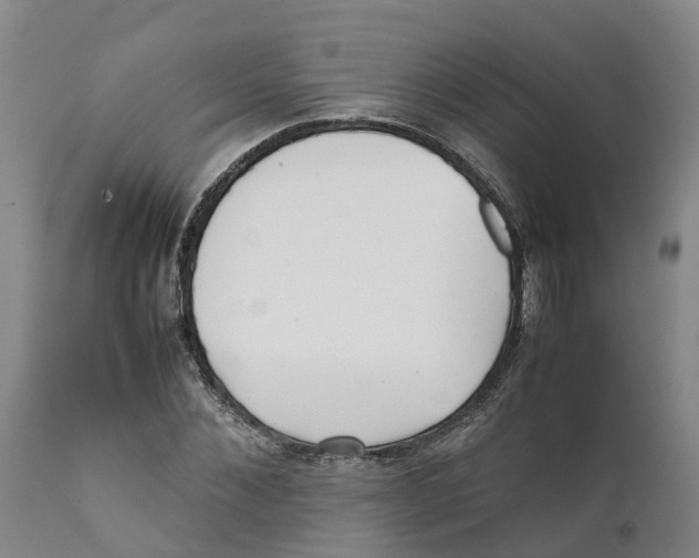X0000111630876200908141340