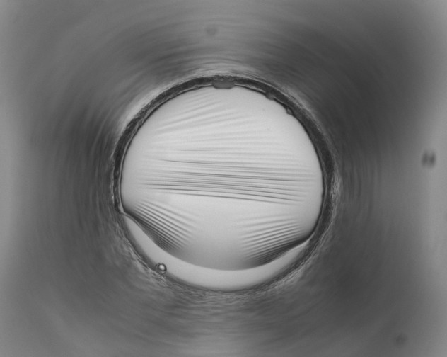 X0000111630877200908141340