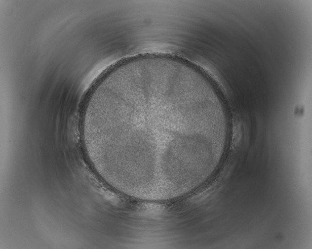 X0000111630878200908141340