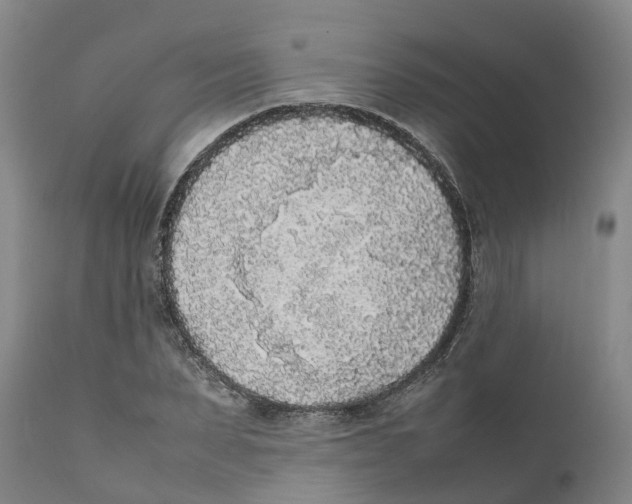 X0000111630879200908141340