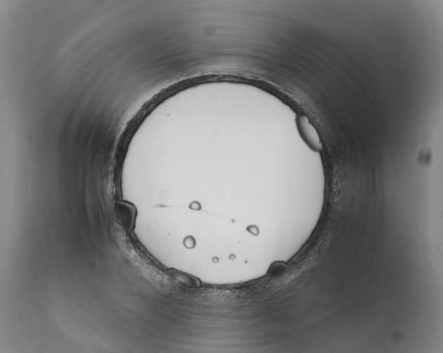 X0000111630880200908141340
