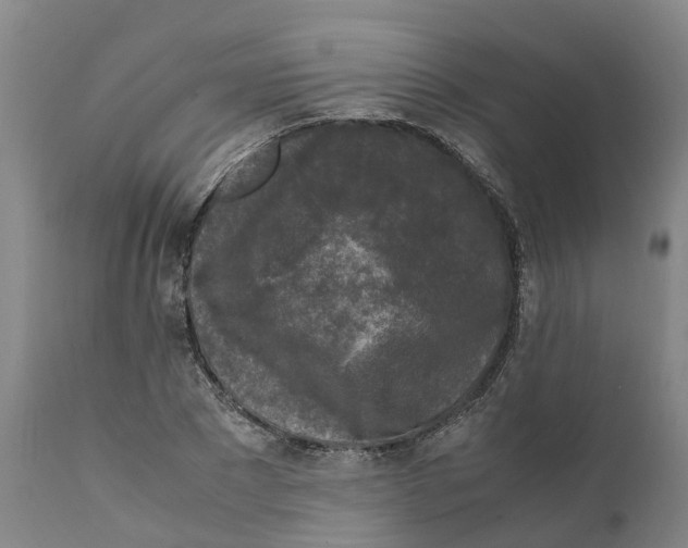 X0000111630881200908141340